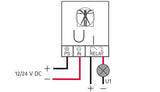 Module demandé Nichi 12/24 volts D'Avinci Security